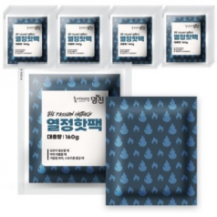 열정 핫팩 160g