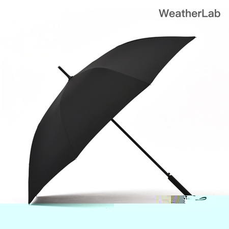 웨더랩 U1 베이직 장우산 65 8K 심플한우산 #3
