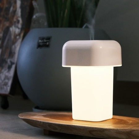 [이즈] LED 조명 2구 오브제 가습기 #2