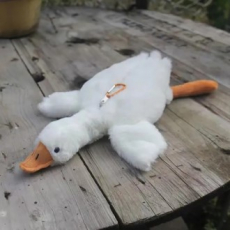 보들 오리 인형 키링