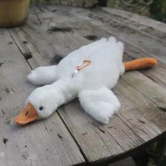 보들 오리 인형 키링