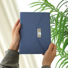 뉴프로 양장 끼움식 다이어리 3단 25절/블루