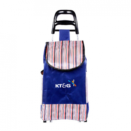 줄무늬 쇼핑카트 바퀴달린 장바구니 H293 #2