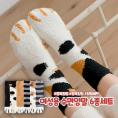 윈썸스트릿 젤리냥 수면양말 6종세트