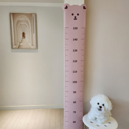 곰돌이 키재기 줄자 #5