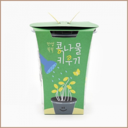 한컵쑥쑥 콩나물 키우기 #2