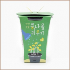 한컵쑥쑥 콩나물 키우기