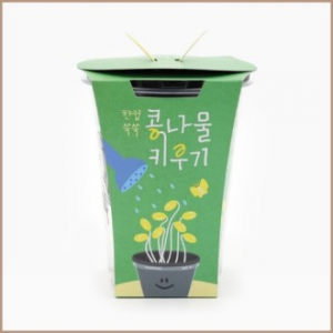 한컵쑥쑥 콩나물 키우기