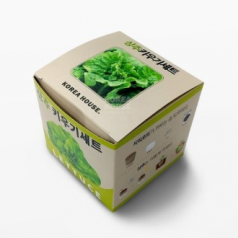 상추/봉선화/강낭콩/방울토마토 키우기세트