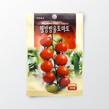 웰빙토마토 키우기 #2
