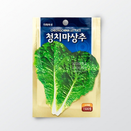 청치마상추/만추잎들깨 키우기 #2