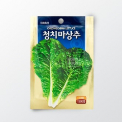 청치마상추/만추잎들깨 키우기