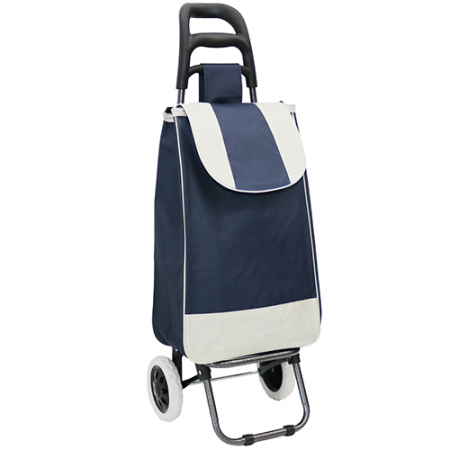 심플쇼핑카트 핸드캐리어 시장가방 #2