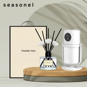 시즈넬 선물세트 디렉션 가습기+120미리 미니로즈