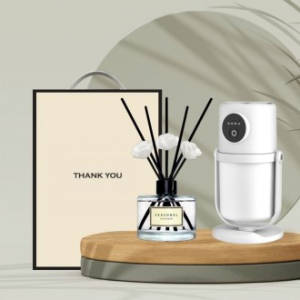 시즈넬 선물세트 디렉션 가습기+120미리 미니로즈