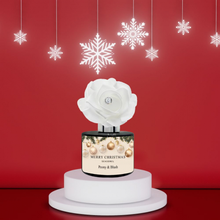 시즈넬 크리스마스 스페셜 디퓨저 120ml #2