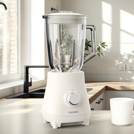 퀸나 조이 데이 글라스 블랜더 1.5L #3