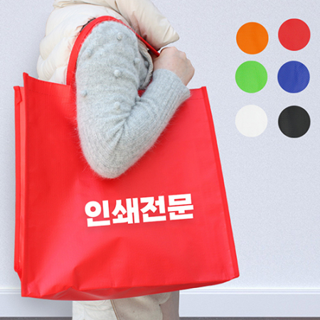 타포린가방 쇼핑가방 장바구니 보관가방 시장가방 #2