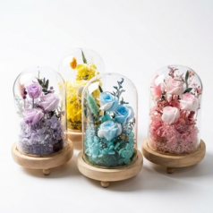 베라플리 돔 LED 프리저브드 플라워