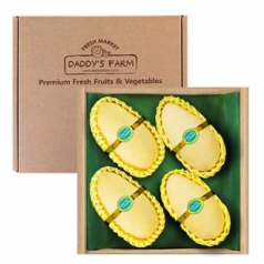 [26년 풍성한명절][AROYFARM] 항공직송 태국망고 선물세트 [1.4kg/3-5과](면세)