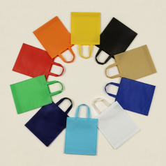 이스트렉스 중형 부직포가방 33x38cm