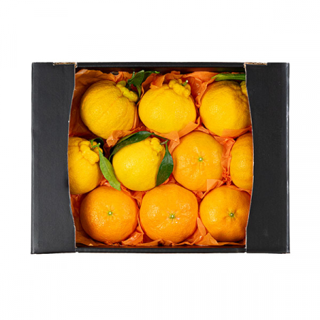 [26년 풍성한명절][제주향기] 제주햇살담은 한라봉 레드향 혼합세트 [3kg/11-16과](면세) #2