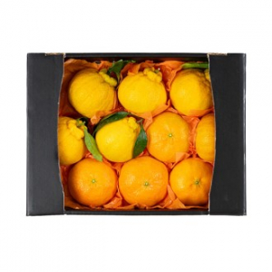 [26년 풍성한명절][제주향기] 제주햇살담은 한라봉 레드향 혼합세트 [3kg/11-16과](면세)