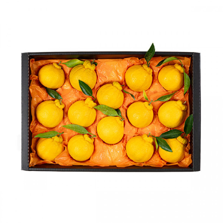 [26년 풍성한명절][제주향기] 제주햇살 가득담은 한라봉 선물세트 [4kg/8-14과](면세) #2