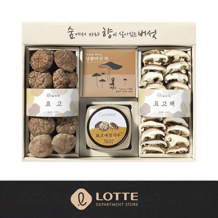 [26년 풍성한명절][롯데백화점] 상황버섯차 혼합세트(면세) #2