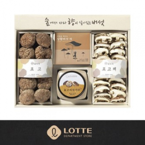 [26년 풍성한명절][롯데백화점] 상황버섯차 혼합세트(면세)
