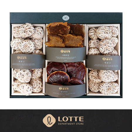 [26년 풍성한명절][롯데백화점] 숲속愛 명품버섯 선물세트 향(香)(면세) #2