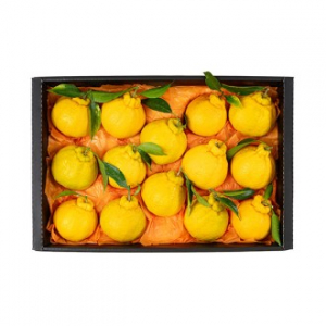 [26년 풍성한명절][제주향기] 제주햇살 가득담은 한라봉 선물세트 [5kg/10-16과](면세)