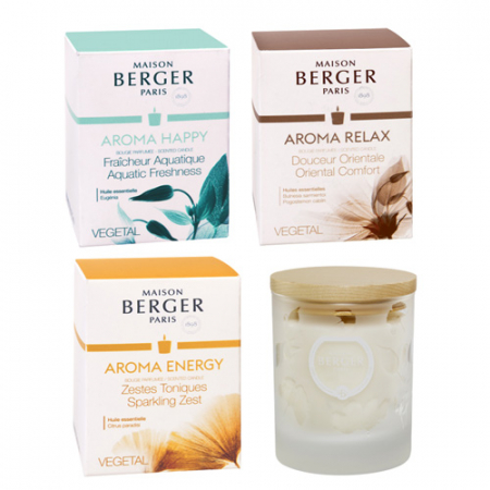 메종베르제 센티드 캔들 180g #7