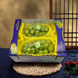 산골 샤인머스켓