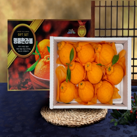 산골 한라봉 3kg #2