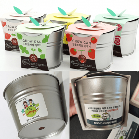 국산 식물키우기 화분기트 캔화분 유치원만들기키트 식목일 선물 #3