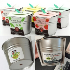 국산 식물키우기 화분기트 캔화분 유치원만들기키트 식목일 선물