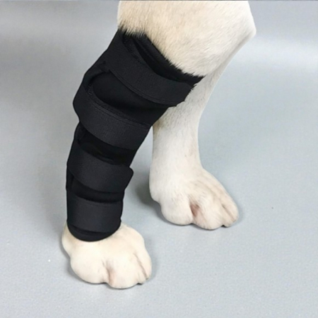강아지 다리보호대 (L) #3