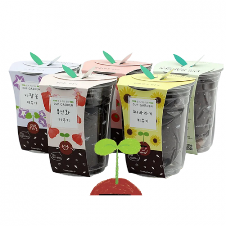 국산 식물기트 미니화분 컵화분 꽃키우기 화분키트 식목일 #2