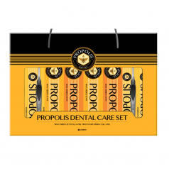 lg생활건강 프로폴리스 치약칫솔 세트