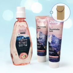 LG생활건강 히말라야 핑크솔트 가글 320ml + 핑크솔트 치약120g2개