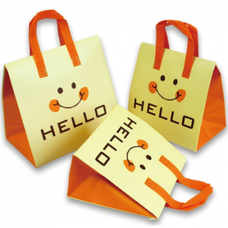 프라임 헬로스마일 부직포 보온보냉가방 #2