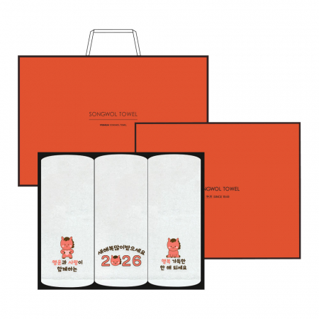 [송월타올] 2026 설 명절 선물세트 3매입 #3