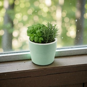 플랜트 자동급수 화분 (16.5x17cm) (그린)