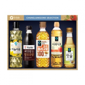 [10+1]대상 청정원 정성13호(5종세트)