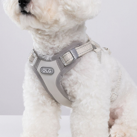 올지 세이프 하네스 초소형 강아지 슬개골 리프팅 관절보호 기도압박 없는 h형 y형 x형 산책용 소형견 중형견 애견 반려견 용 #5