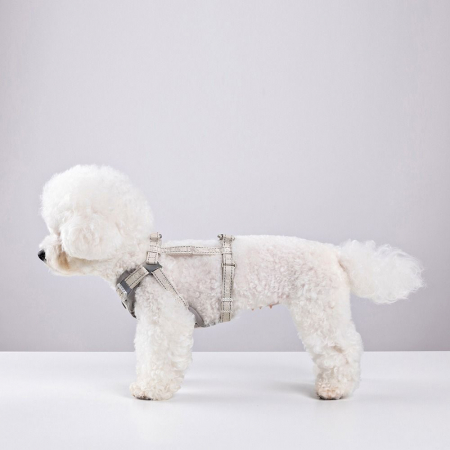 올지 세이프 하네스 대형 리드줄 세트 충격흡수 슬개골 관절보호 소형견 중형견 강아지 애견 반려견 용 #7