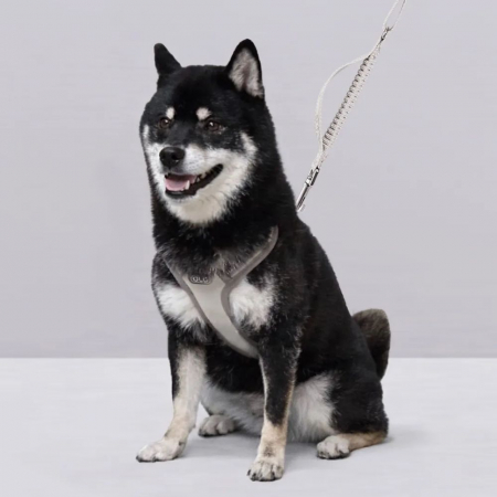 올지 세이프 하네스 대형 리드줄 세트 충격흡수 슬개골 관절보호 소형견 중형견 강아지 애견 반려견 용 #2