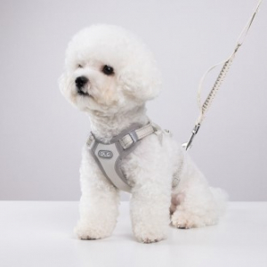 올지 세이프 하네스 소형 리드줄 세트 충격흡수 슬개골 관절보호 소형견 중형견 강아지 애견 반려견 용