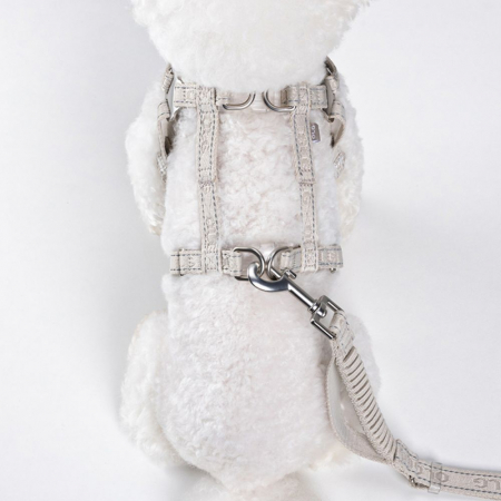 올지 세이프 하네스 초소형 리드줄 세트 충격흡수 슬개골 관절보호 소형견 중형견 강아지 애견 반려견 용 #8